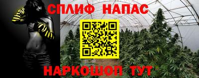 прущие крисы Обь